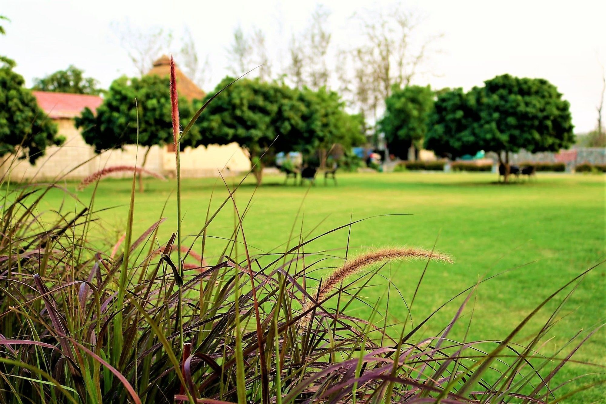 Palette Alaya Resort, Corbett Нейнитал Екстериор снимка