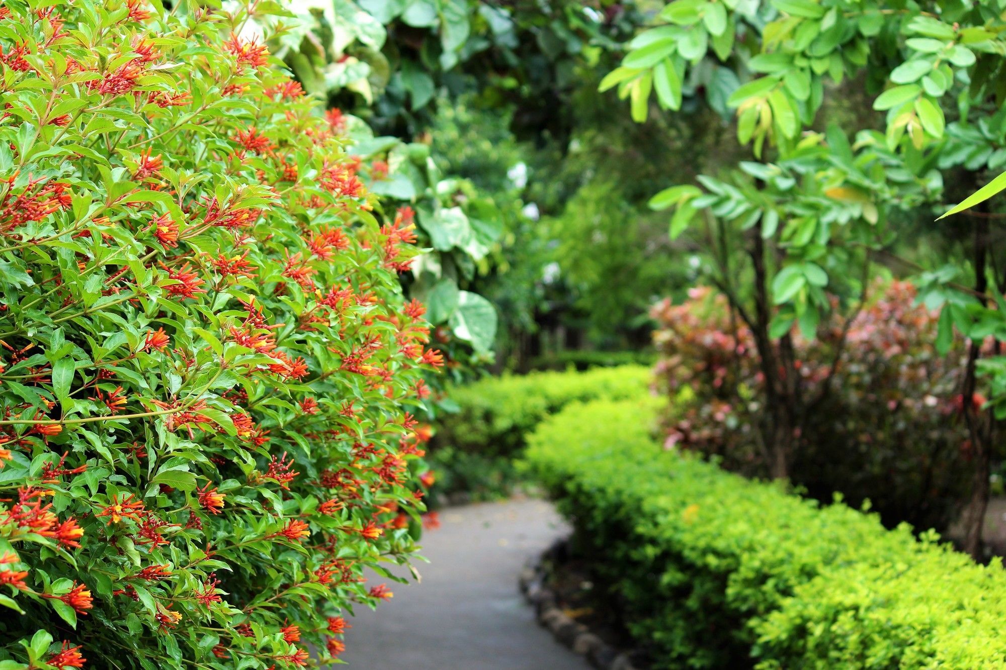 Palette Alaya Resort, Corbett Нейнитал Екстериор снимка