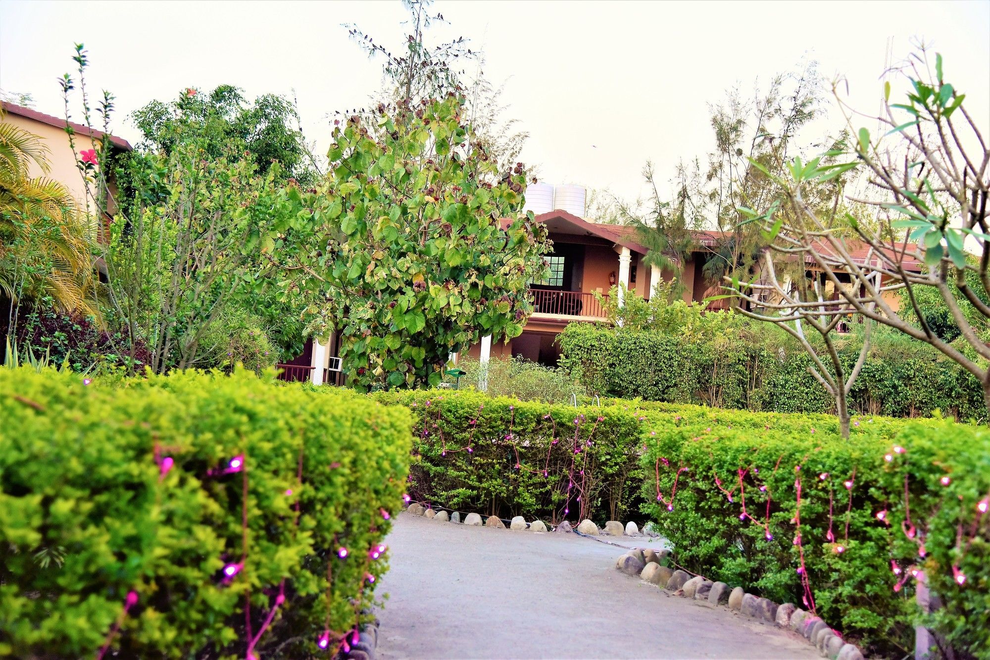 Palette Alaya Resort, Corbett Нейнитал Екстериор снимка